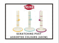 Scratching Post (60cm) | Trixie