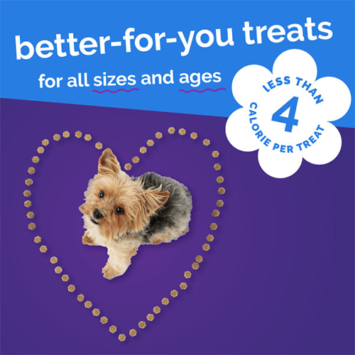 Skinny Mini Dog Treats (Pumpkin & Blueberry, 12oz) | Fruitables