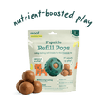 Pupsicle Refill (Peanut Butter & Chicken) | Woof