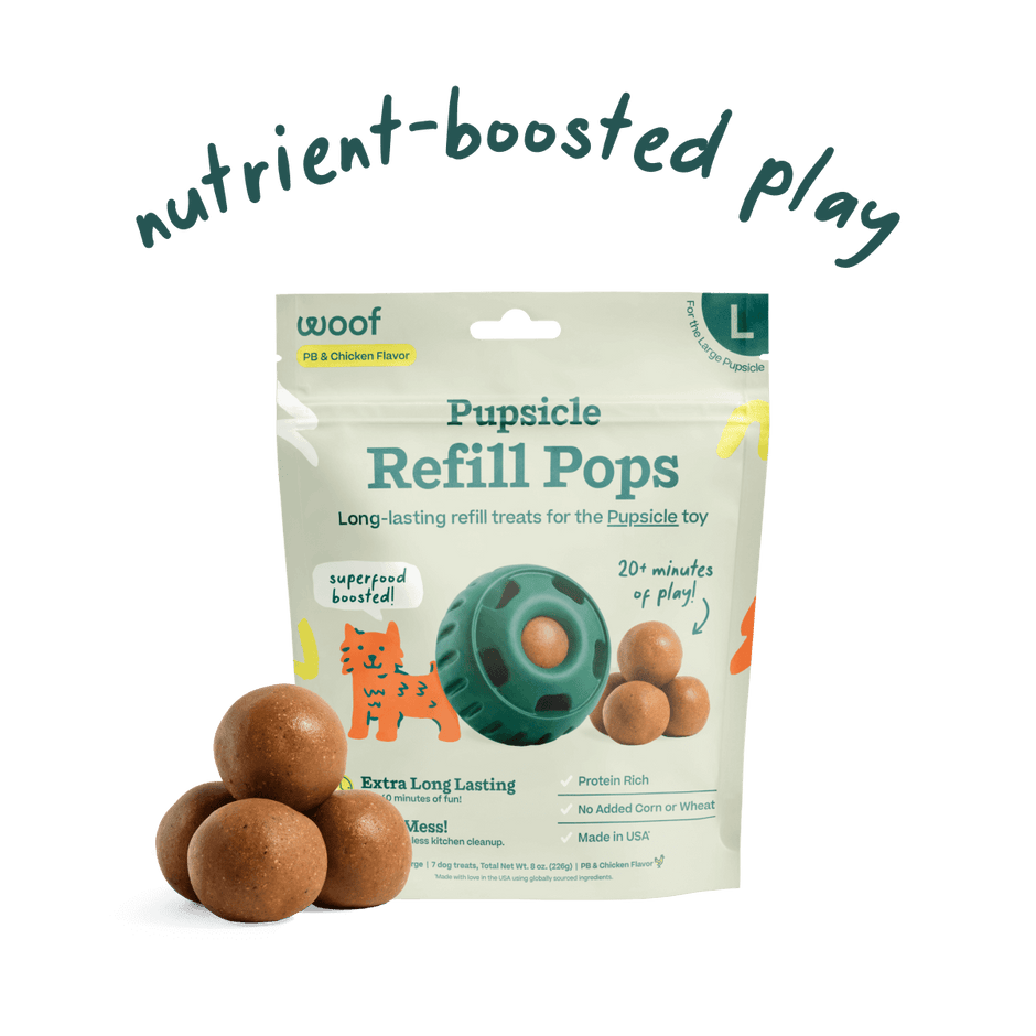 Pupsicle Refill (Peanut Butter & Chicken) | Woof