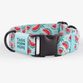 Watermelon Sugar Collar | Tags For Hope