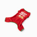 Sleepy Dog Festive Pajamas | Silver Paw