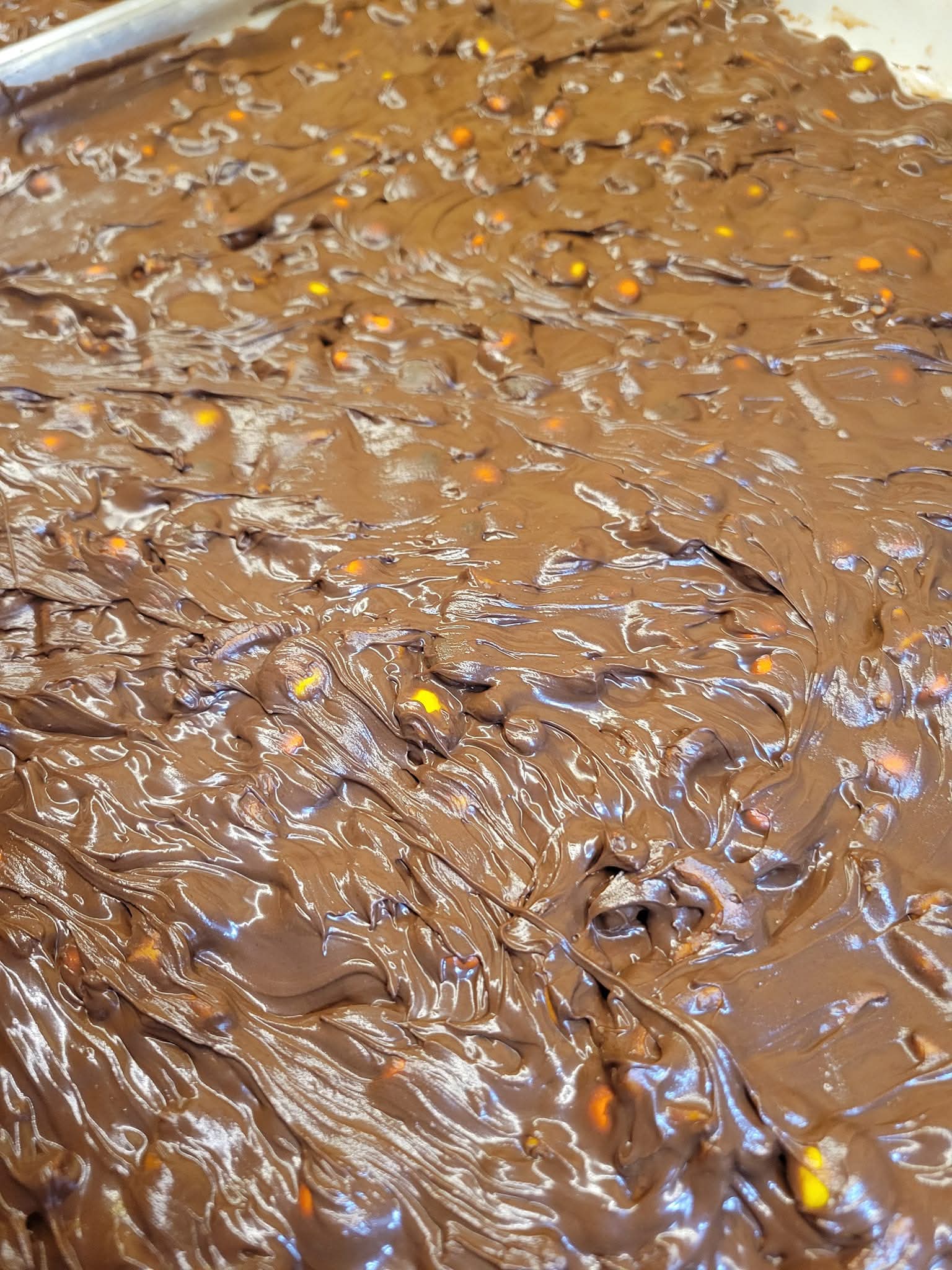 Reeces Pretzel Chocolate Bark (Not For Animals) | Briand's Bark