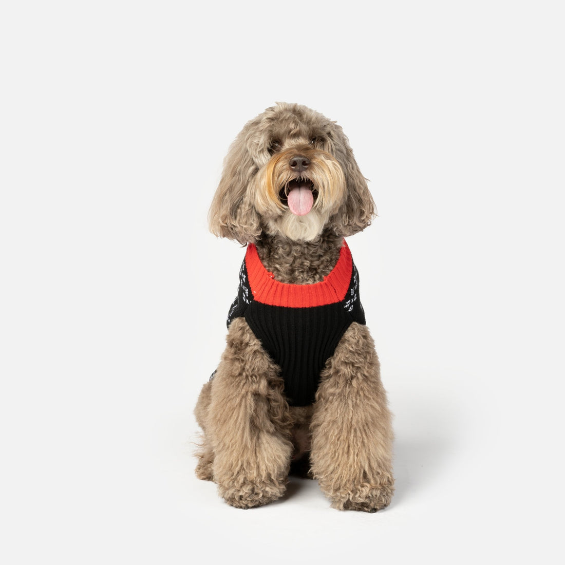 Reindeer Dog Sweater | Silver Paw