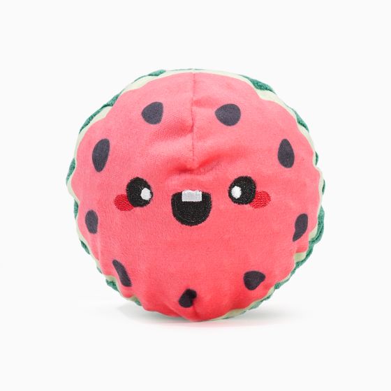 Watermelon Super Ball | HugSmart