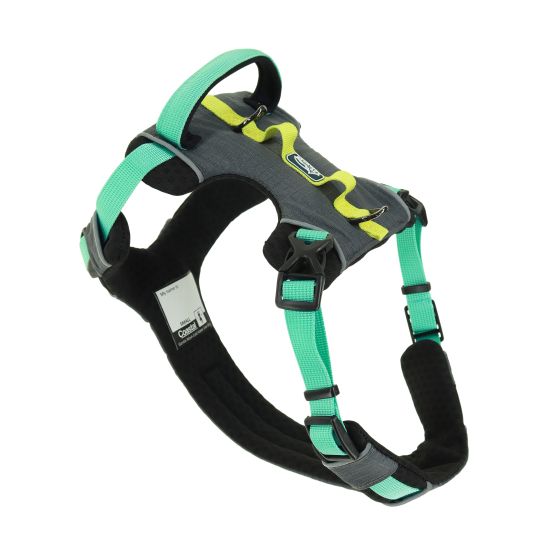 K9 Explorer Trek Full-Coverage Dog Harness (Boulder, XL) | Coastal Pet Products