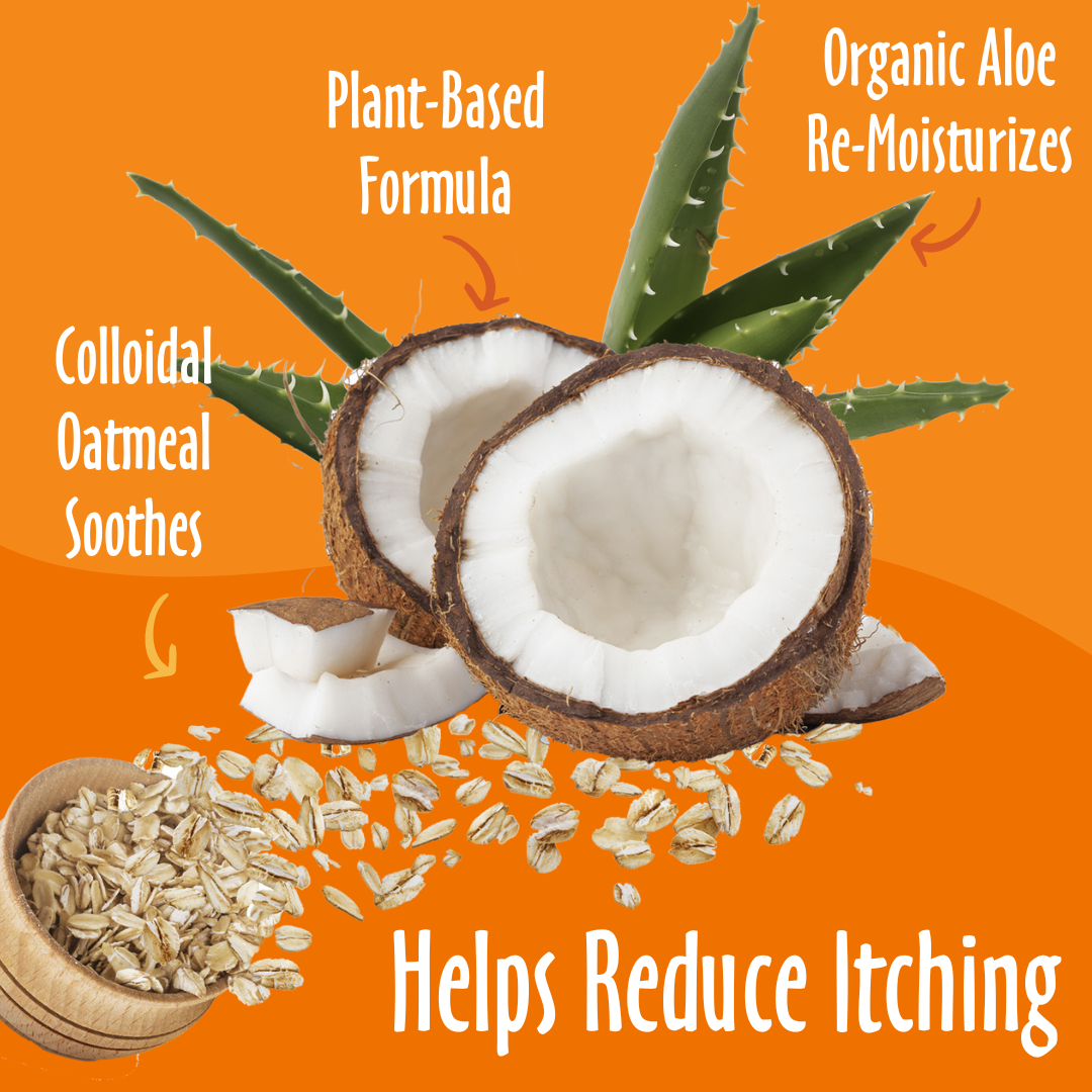 Oatmeal & Aloe Shampoo (Fragrance Free) | Earthbath