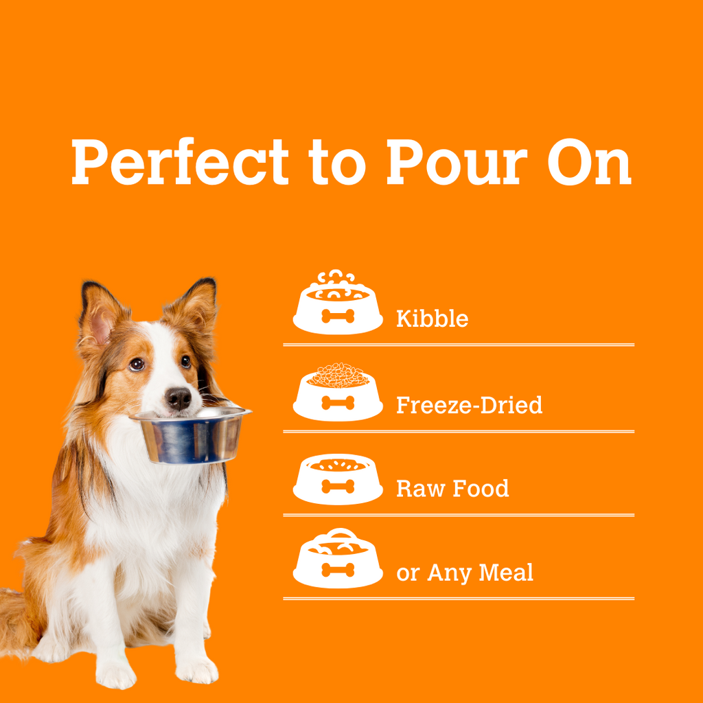 Lion's Mane & Blueberry Mushroom Bone Broth (70g) | Charmy Pet