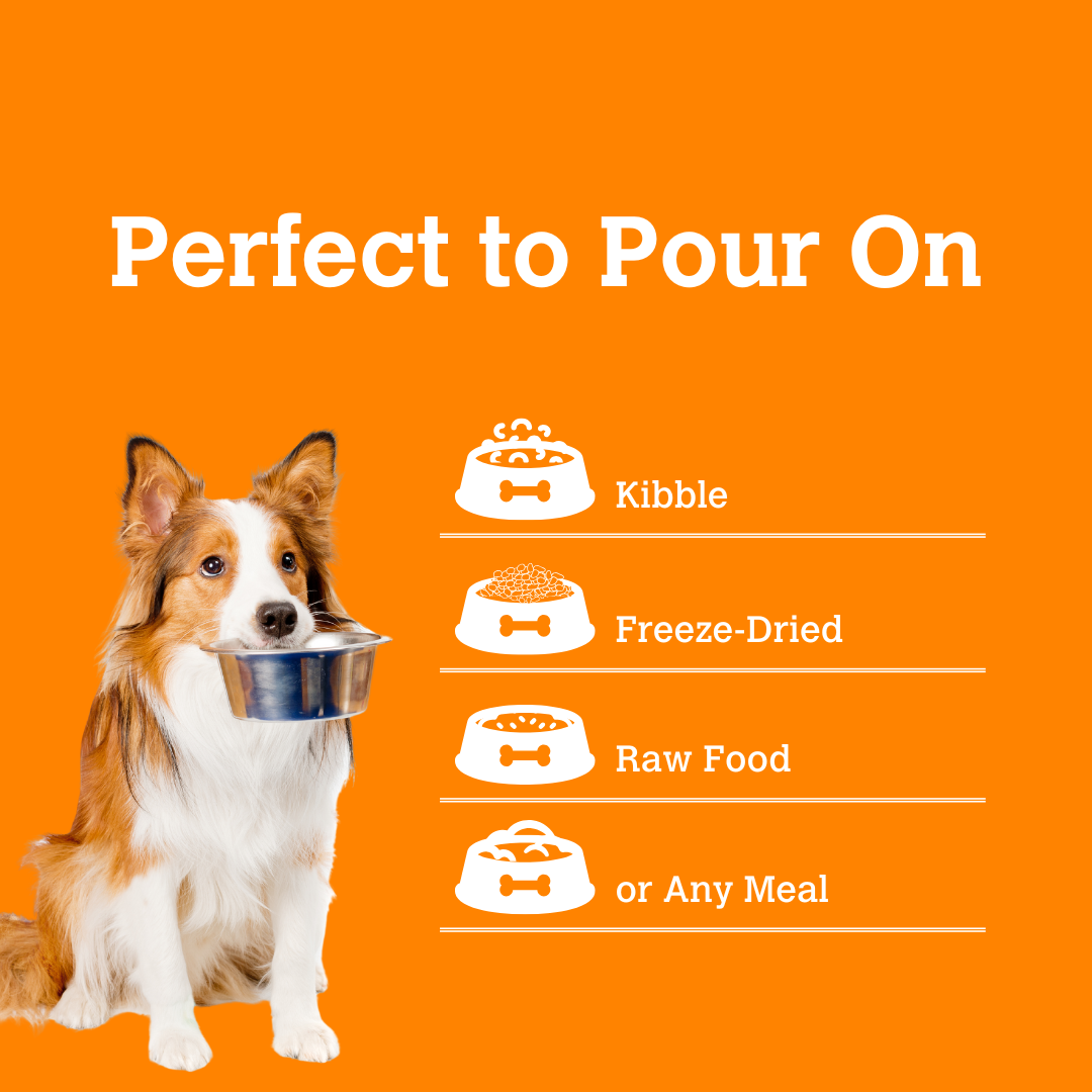 Lion's Mane & Blueberry Mushroom Bone Broth (70g) | Charmy Pet