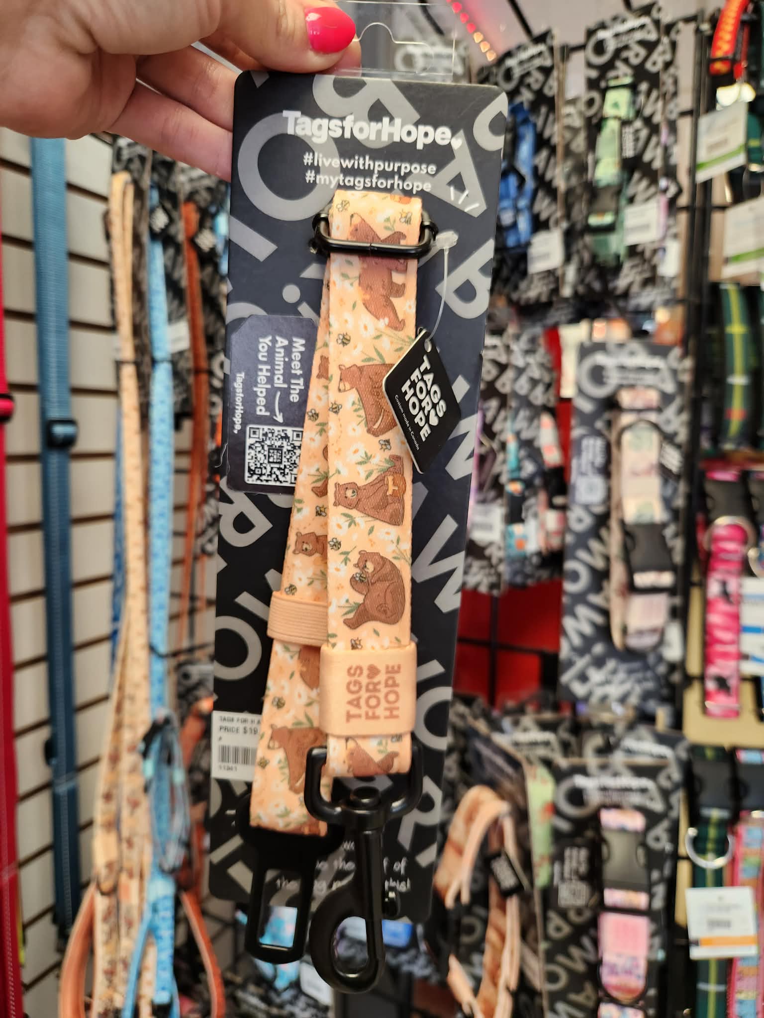Honey Bear Seat Belt | Tags For Hope