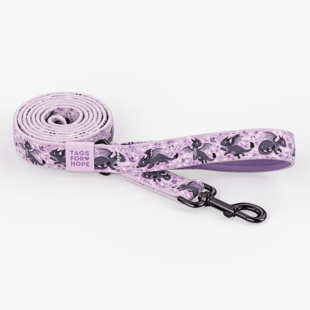 Dragon Wishes Leash (6' X 5/8") | Tags For Hope