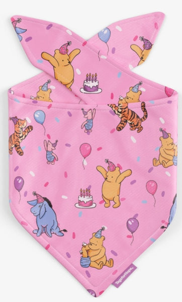 Pink Hunny Bear Birthday Bandana (Reversible) | Tags For Hope