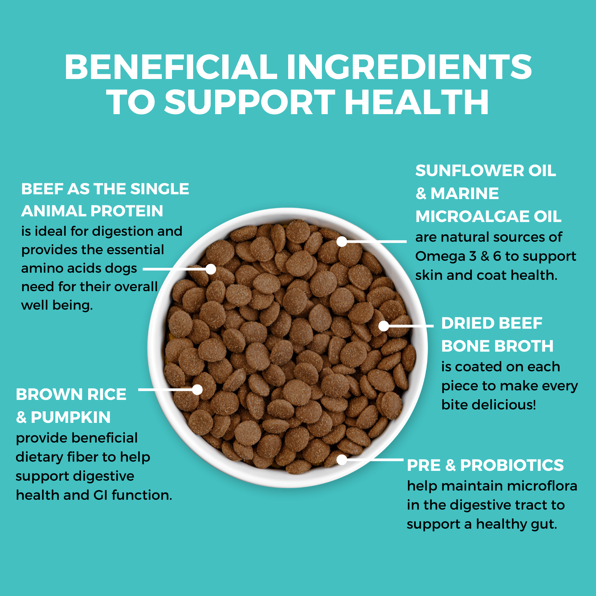 Limited Ingredient Dry Bland Diet For Dogs (Beef, Brown Rice & Pumpkin) | KOHA