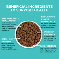 Limited Ingredient Dry Bland Diet For Dogs (Beef, Brown Rice & Pumpkin) | KOHA