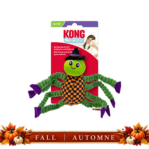 Halloween Crackles Spider Cat Toy | KONG