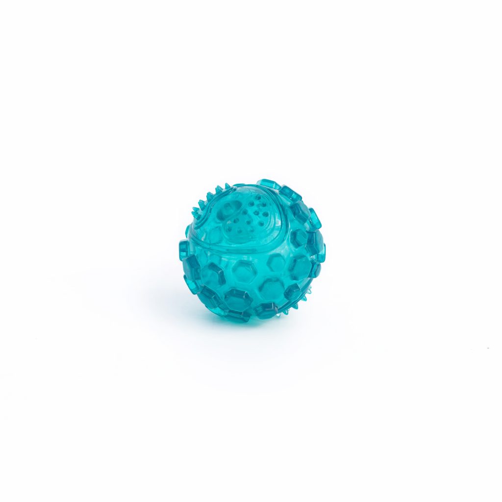 Squeaker Ball (Large, Teal) | Zippy Paws