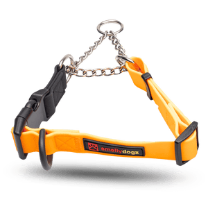 Martingale Collar (Orange, 14"-16") | Smellydogz