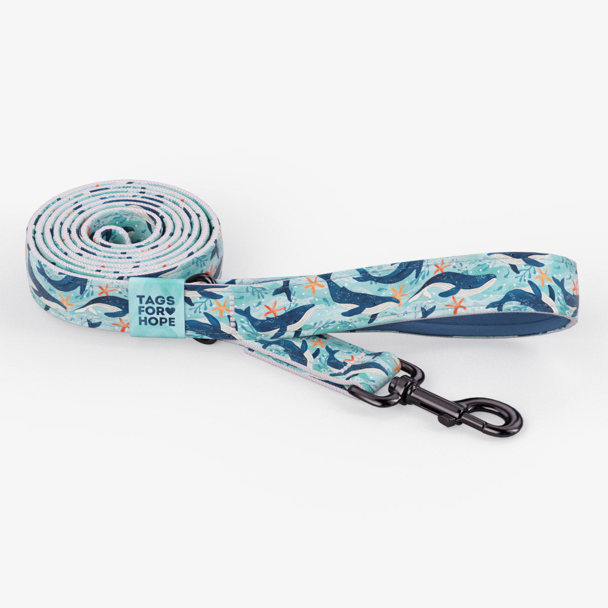 Whale Waltz Leash (6' X 5/8") | Tags For Hope