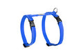 Primary Kitty Harness (Royal Blue) | RC Pets