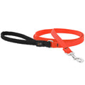 Solid Colour Dog Leash (Blaze Orange, 6' X 1/2") | Lupine