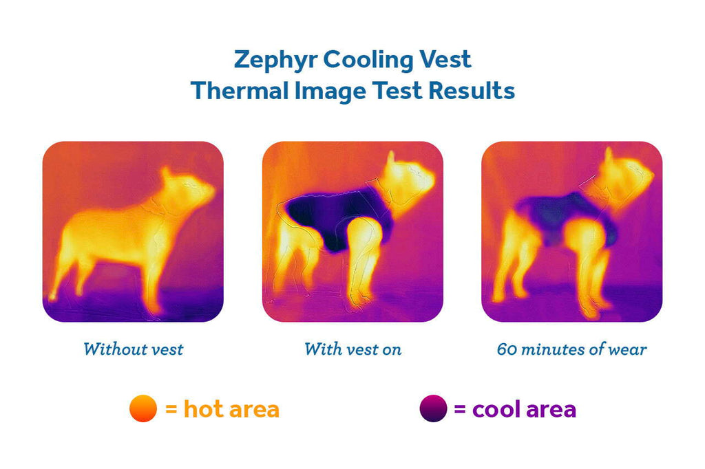 Zephyr Cooling Vest (Zesty) | RC Pets