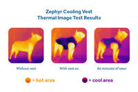 Zephyr Cooling Vest (Zesty) | RC Pets