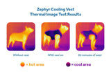 Zephyr Cooling Vest (Zesty) | RC Pets