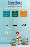 Medium Chew Toy (Mini, Beef) | BetterBone
