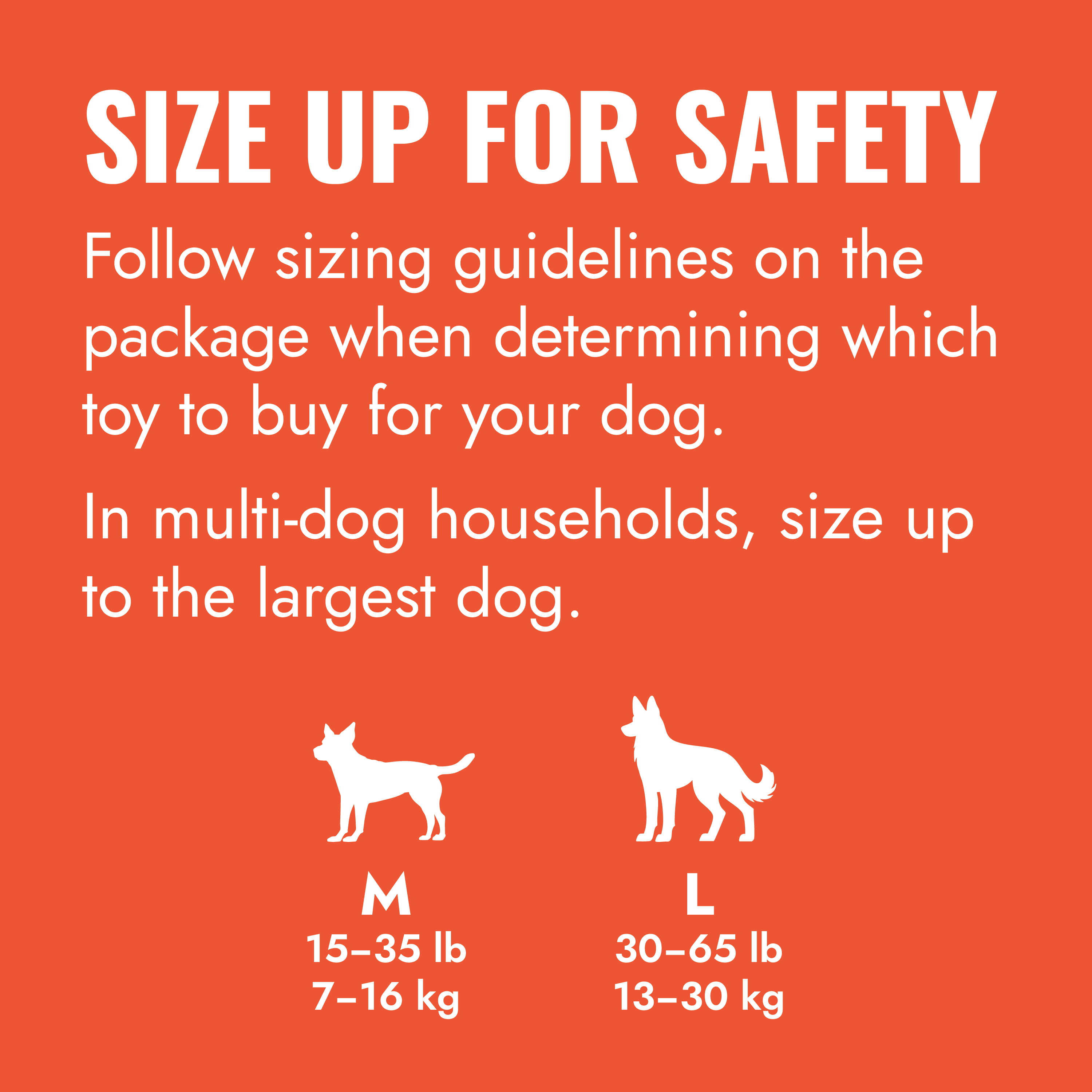 Aqua Kong (Large) | KONG