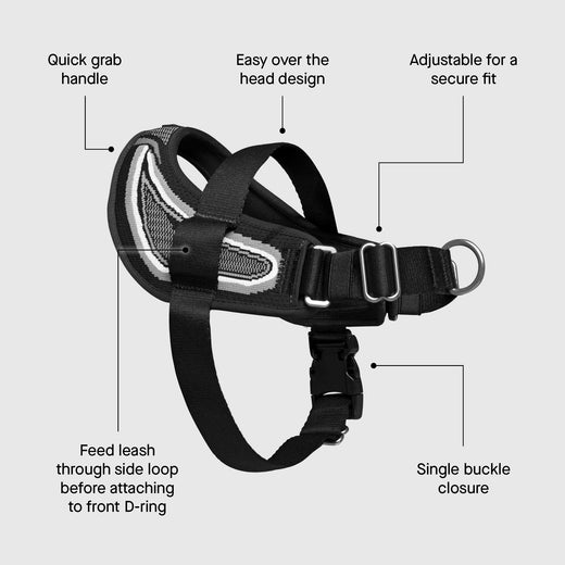 Re-Direct Harness (Purple/Lavender) | Canada Pooch