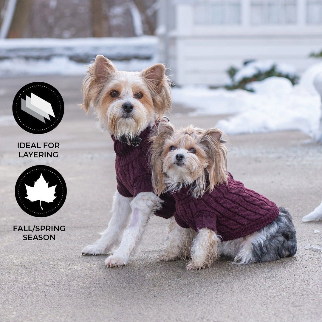 Brentwood Cable Knit Sweater (Fire Whirl) | Shedrow K9