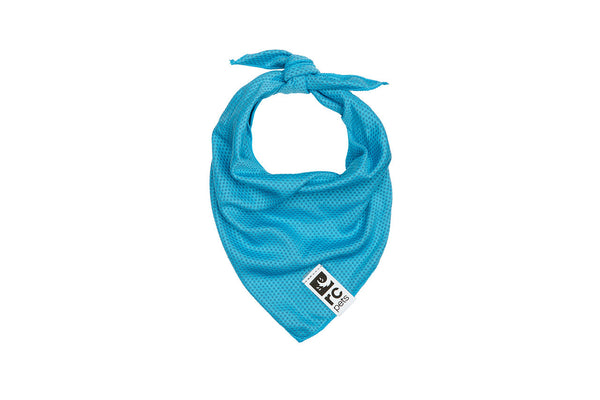 Zephyr Cooling Bandana (Aqua, Med/Large) | RC Pets