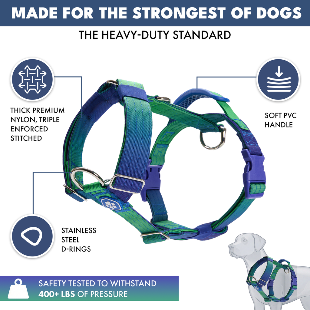 Comfort Control No-Pull Dog Harness (Lime Wave) | Spark Paws