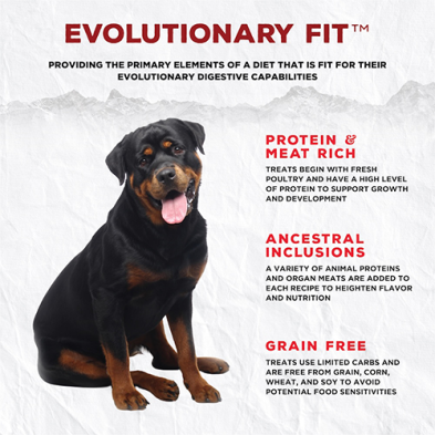 Vita-Boost Freeze Dried Dog Treats (Open Plains, 3.52oz) | Coevo