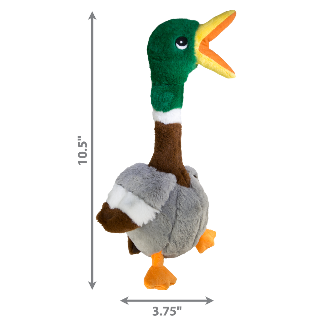 Shakers Honkers Duck (Small) | KONG