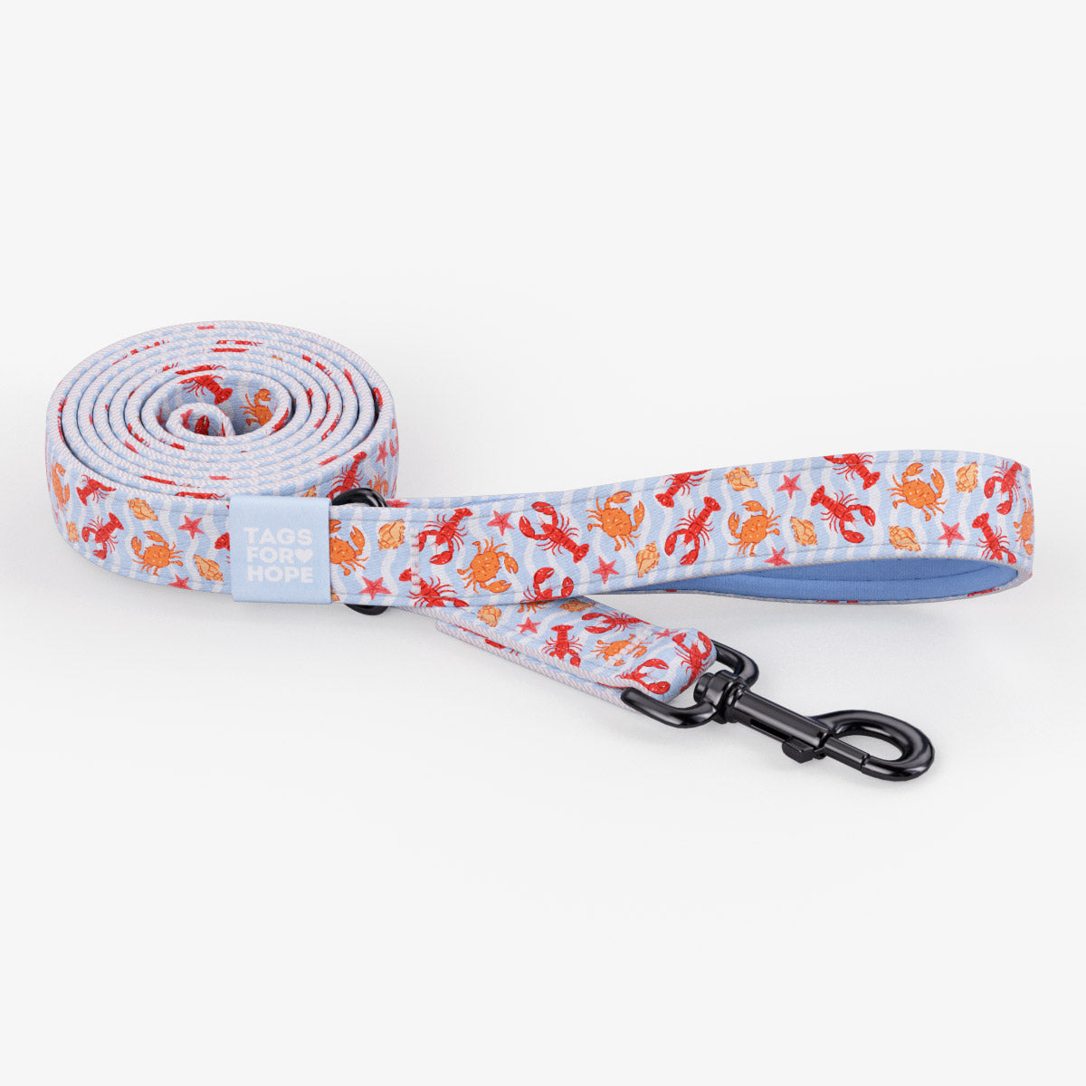 Crostacei di Capri Leash (6' X 5/8") | Tags For Hope