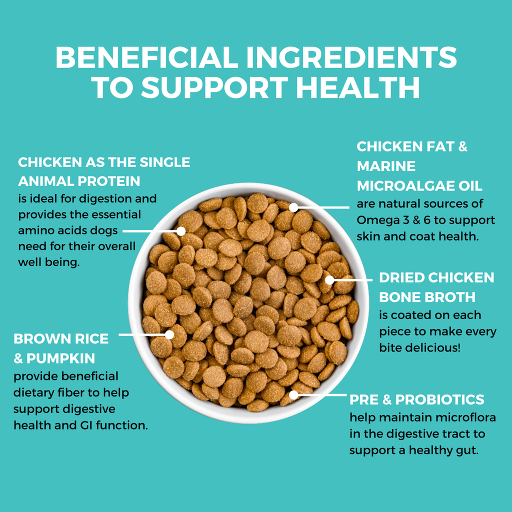 Limited Ingredient Dry Bland Diet For Dogs (Chicken, Brown Rice & Pumpkin) | KOHA