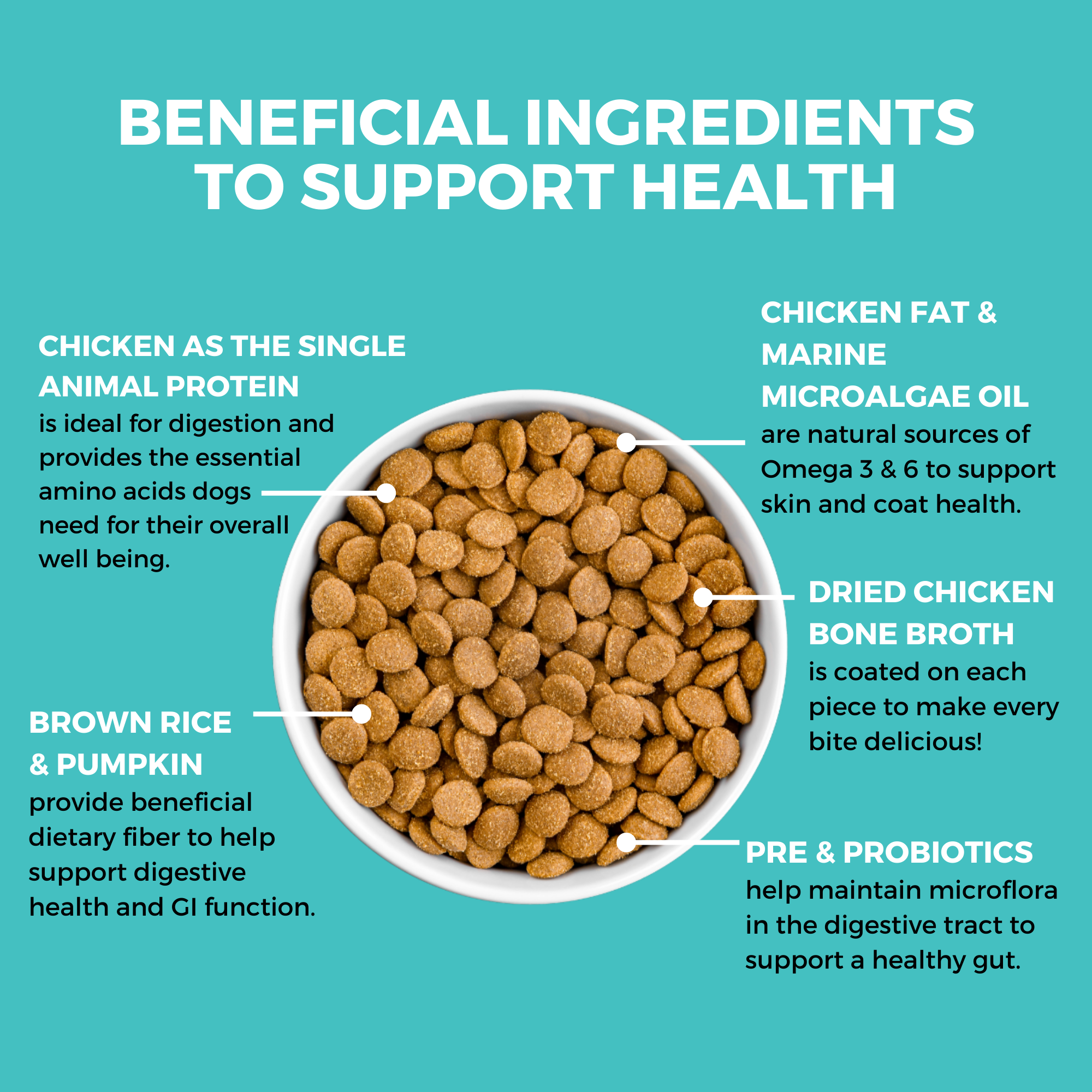 Limited Ingredient Dry Bland Diet For Dogs (Chicken, Brown Rice & Pumpkin) | KOHA