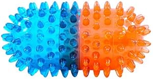 Pill Spiker Dog Toy | FouFou Dog