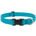 Basics Solid Dog Collar (Aquamarine, 8"-12") | Lupine