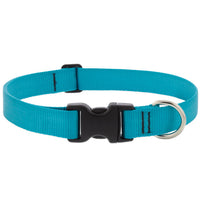 Basics Solid Dog Collar (Aquamarine, 8"-12") | Lupine
