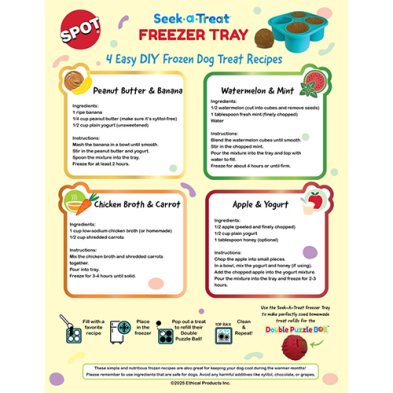 Seek-A-Treat Freezer Tray (4.5") | Spot