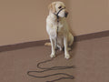 Indoor Training Leash | Gentle Leader