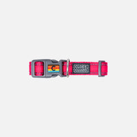 Dog Collar (Pink) | Cloe & Cluzo