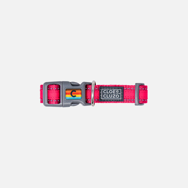 Dog Collar (Pink) | Cloe & Cluzo