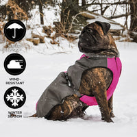 Chinook Dog Coat (Fushia) | Shedrow K9