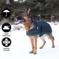 Vail Dog Coat (Black & Pine) | Shedrow K9