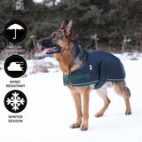 Vail Dog Coat (Black & Pine) | Shedrow K9