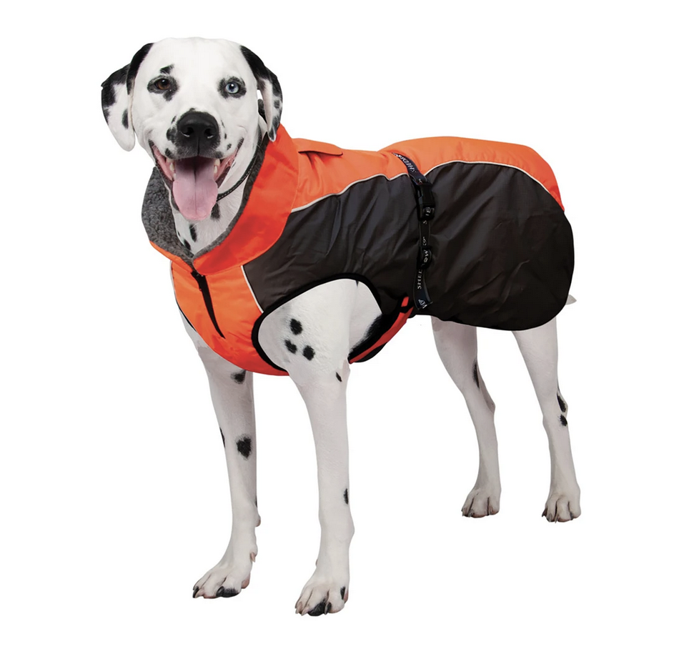 Chinook Dog Coat (Neon Orange) | Shedrow K9