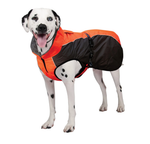 Chinook Dog Coat (Neon Orange) | Shedrow K9